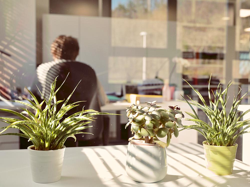 ambiance des bureaux Lempereur & Associés